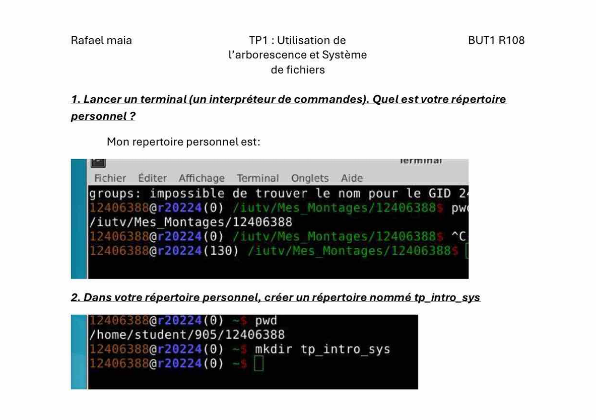 Systèmes d'exploitation